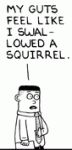 dilbert20024399140128.gif